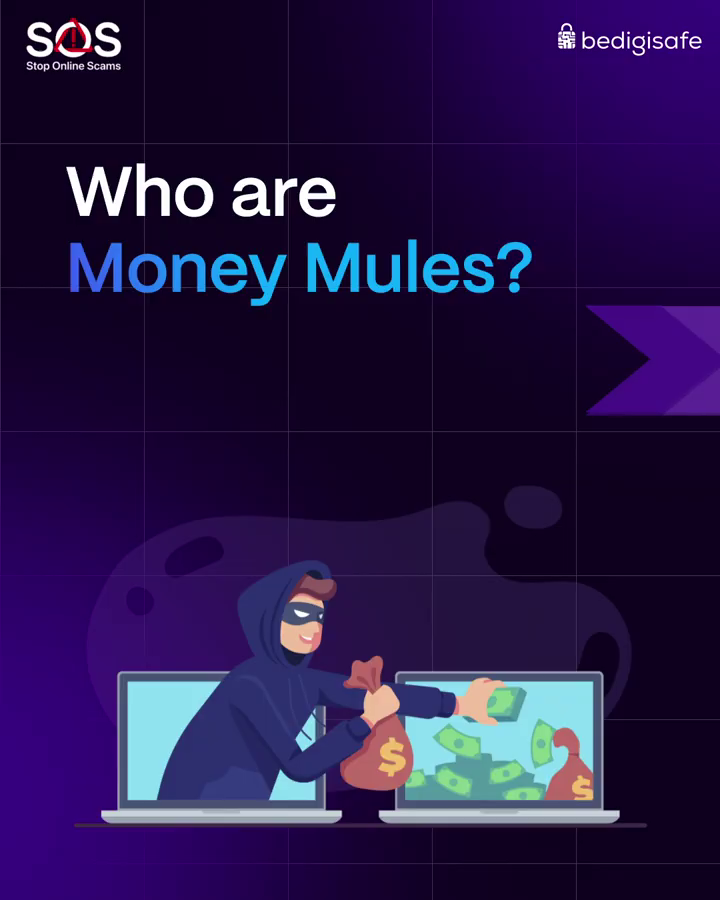 SOS: Who are Money Mules?